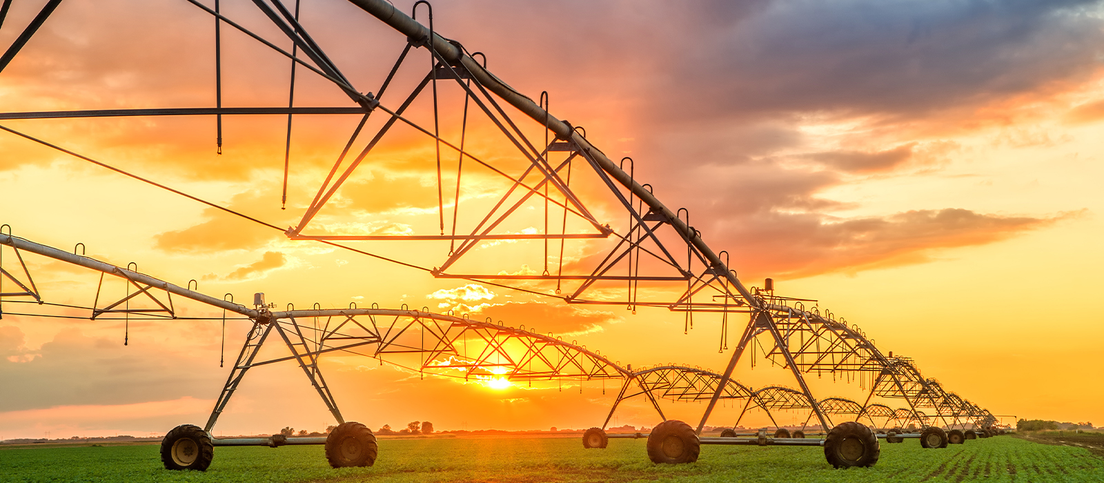 Watering Orange Sky 1600 x 700 v2